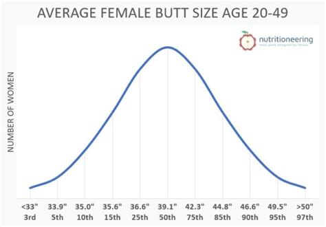 Average Butt Size For Women and Men